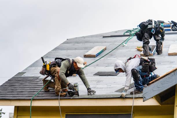 Professional Gutter Installation technician working in Erskine, MN